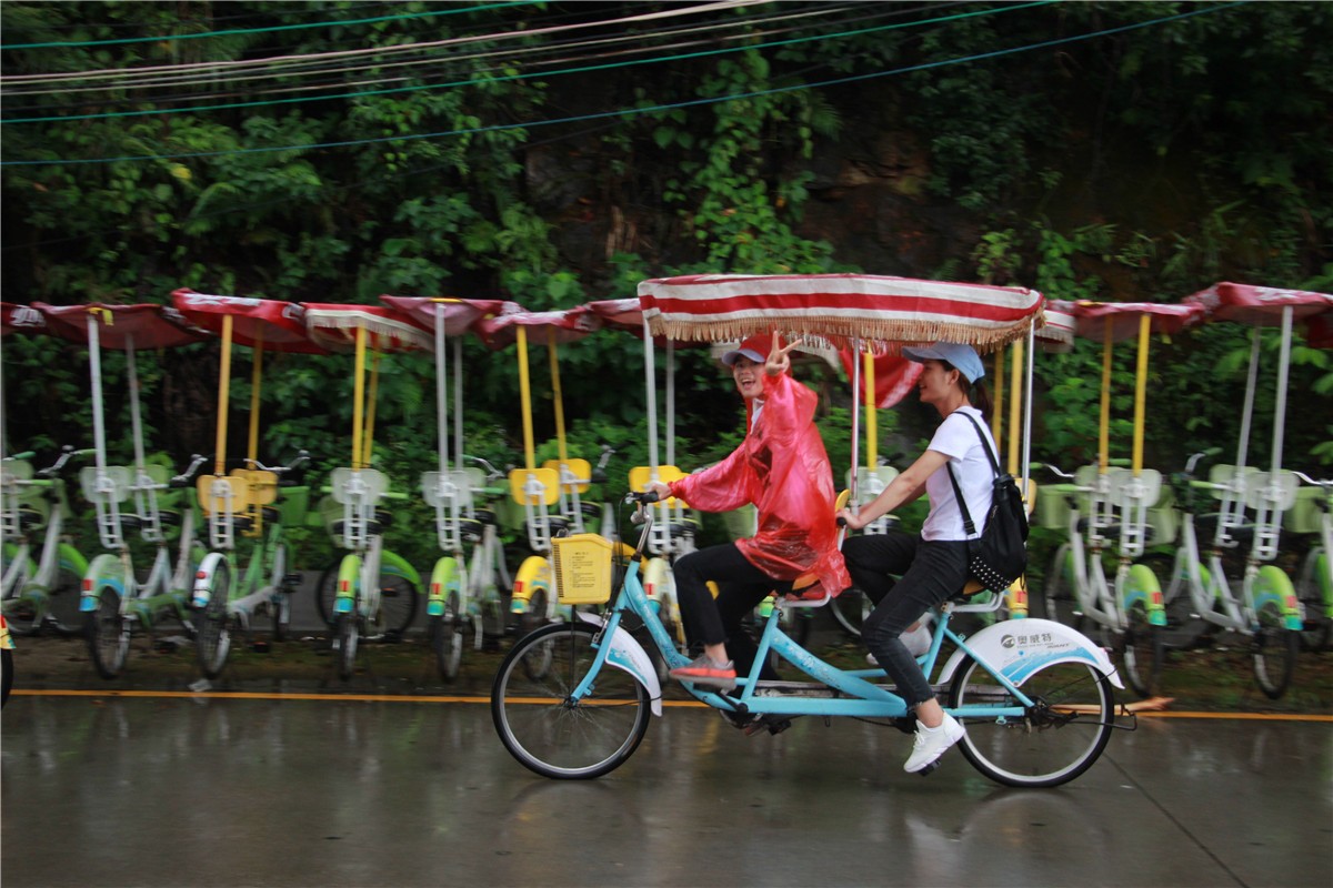 凝聚力量 共筑夢想 年深圳領航集團大鵬拓展活動 凝聚力量 共筑夢想 年深圳領航集團大鵬拓展活動