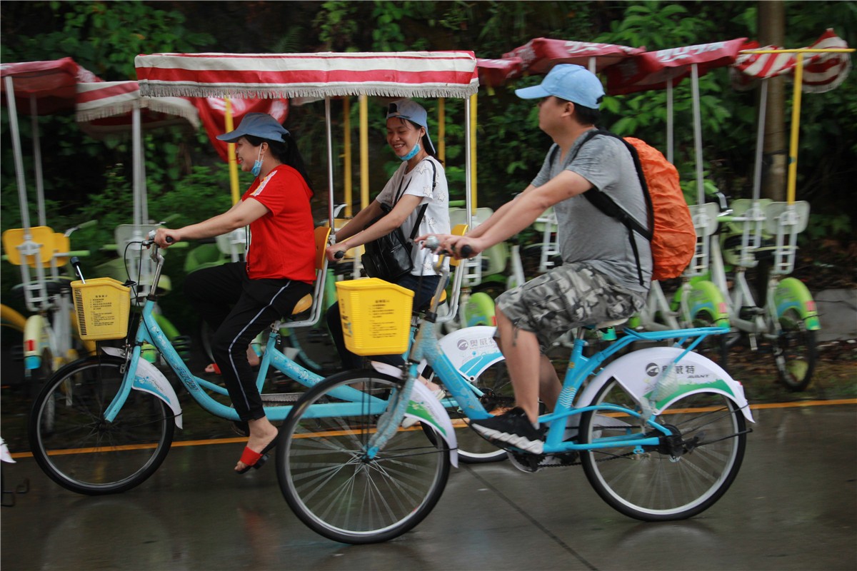 凝聚力量 共筑夢想 年深圳領航集團大鵬拓展活動 凝聚力量 共筑夢想 年深圳領航集團大鵬拓展活動